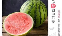 吃瓜大爽,吃瓜大爽背后的娱乐风云